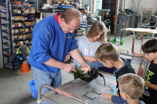 Aquarienpflanzen auf Wurzeln aufbinden