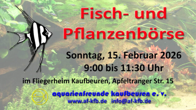 Anzeige Börse Februar